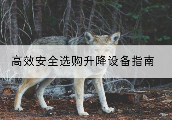 点军升降货梯厂家推荐-*安全选购升降设备指南
