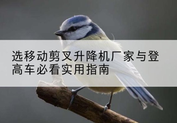 点军电动升降机厂家-选移动剪叉升降机厂家与登高车必看实用指南