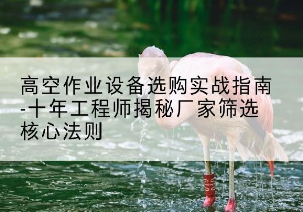 点军剪叉式升降机厂家-高空作业设备选购实战指南-十年工程师揭秘厂家筛选核心法则